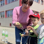 Новости от «Звёздочек» Новости от «Звёздочек»