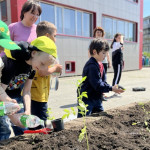 Новости от «Звёздочек» Новости от «Звёздочек»