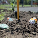 Новости от «Звёздочек» Новости от «Звёздочек»