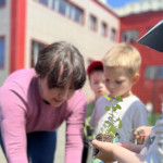 Новости от «Звёздочек» Новости от «Звёздочек»