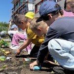 Новости от «Звёздочек» Новости от «Звёздочек»