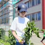 Новости от «Звёздочек» Новости от «Звёздочек»