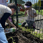Новости от «Звёздочек» Новости от «Звёздочек»