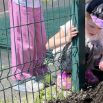 Новости от «Звёздочек» Новости от «Звёздочек»